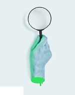 Visuel_Vignette_NL_150x190px_72dpi33