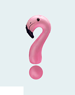 Visuel_Vignette_NL_150x190px_72dpi14
